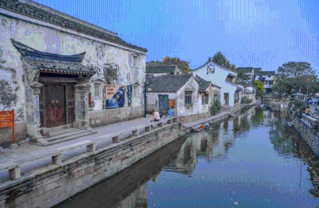 可爱的小孔雀救援