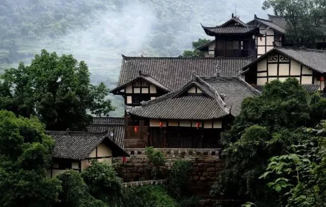 眼镜蛇秘密行动